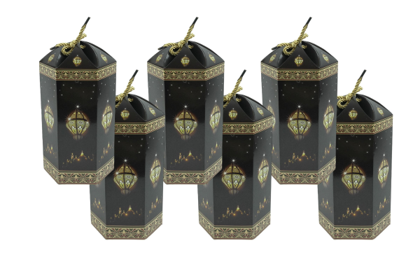 photoroom_018_20240210_0238322copy